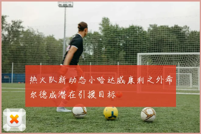 热火队新动态小哈达威康利之外希尔德成潜在引援目标