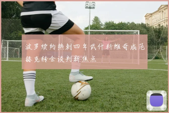 波罗续约热刺四年武什科维奇成范赫克转会谈判新焦点