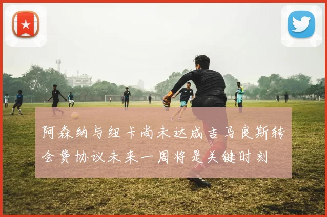 阿森纳与纽卡尚未达成吉马良斯转会费协议未来一周将是关键时刻